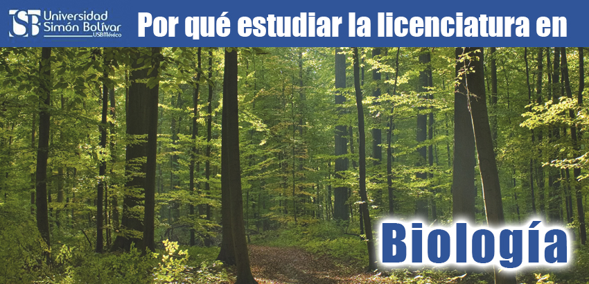 Banner 18 - Licenciatura en Biología de la USB